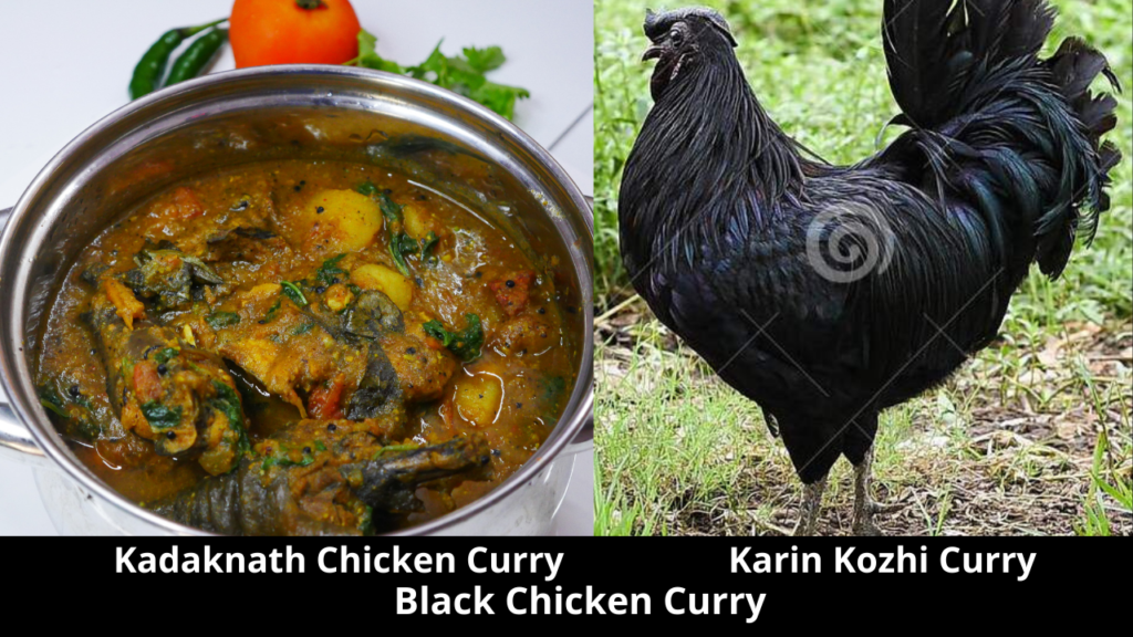 Kadaknath Chicken Curry Recipe | Karin Kozhi Curry Recipe | Black Chicken Curry